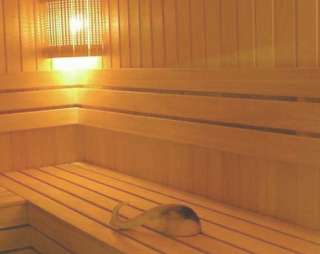 Сауна MAXIM, сауна в Ярославле